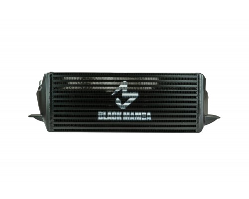 Black Mamba BMW 135i / 1M E82 and 335i E9x N54 Intercooler