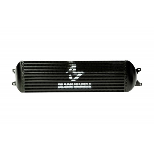 Black Mamba Intercooler for Hyundai I20N