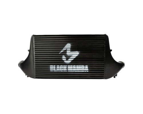 Black Mamba Ford Fiesta ST Mk8 Intercooler